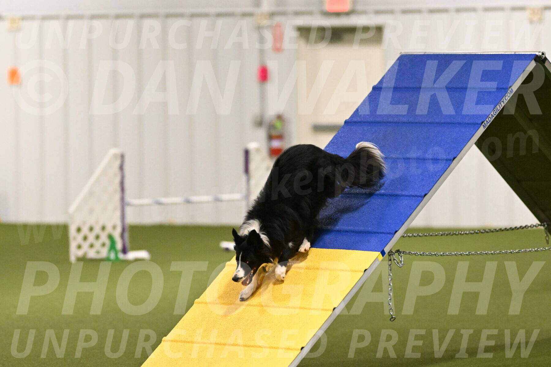 Skyler-Nanette-Jarrett-03809