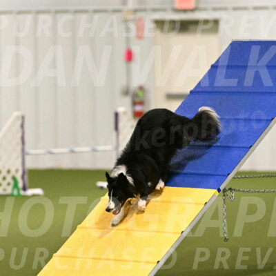 Skyler-Nanette-Jarrett-03809