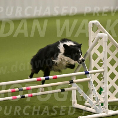 Skyler-Nanette-Jarrett-03811