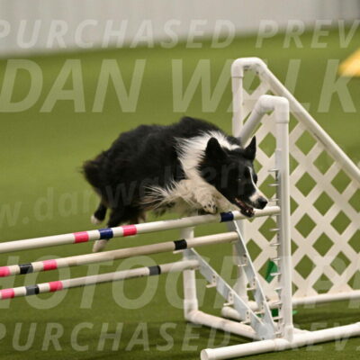 Skyler-Nanette-Jarrett-03812