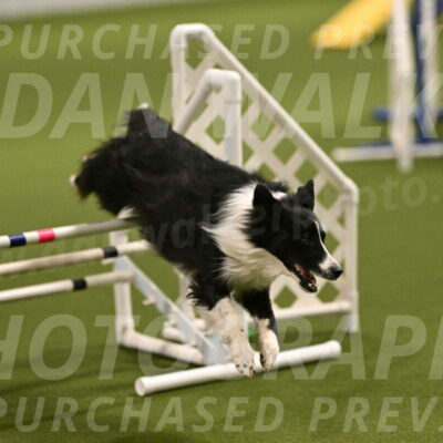 Skyler-Nanette-Jarrett-03814