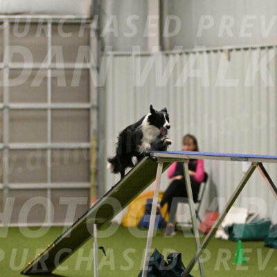 Skyler-Nanette-Jarrett-03815