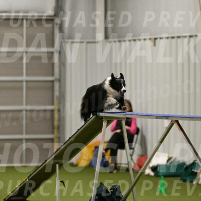 Skyler-Nanette-Jarrett-03816