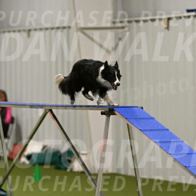 Skyler-Nanette-Jarrett-03817