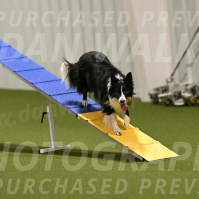 Skyler-Nanette-Jarrett-03818