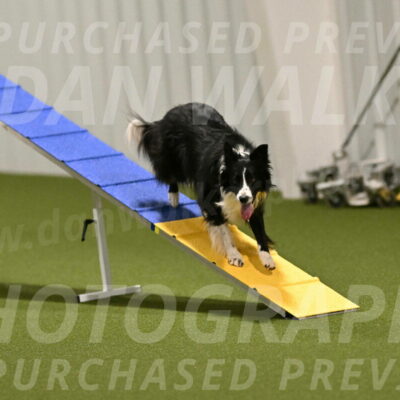 Skyler-Nanette-Jarrett-03819