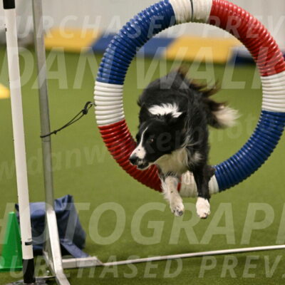 Skyler-Nanette-Jarrett-03821