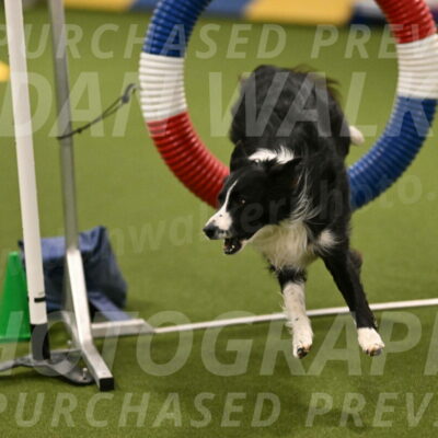 Skyler-Nanette-Jarrett-03822