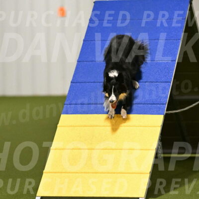 Skyler-Nanette-Jarrett-03823