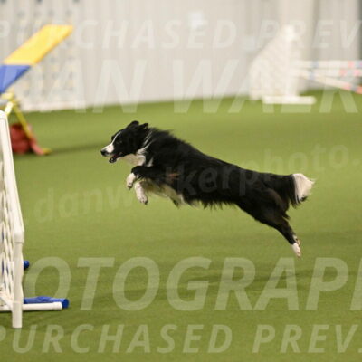 Skyler-Nanette-Jarrett-03828