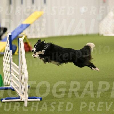 Skyler-Nanette-Jarrett-03829