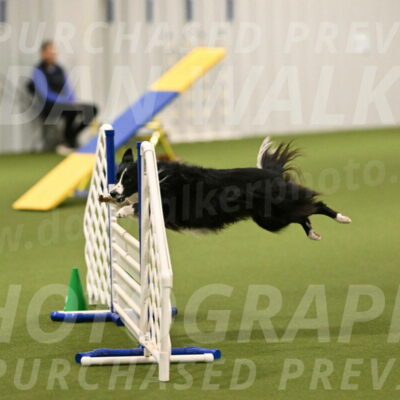 Skyler-Nanette-Jarrett-03830