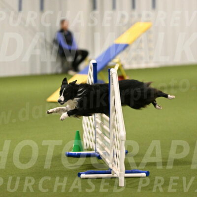 Skyler-Nanette-Jarrett-03831