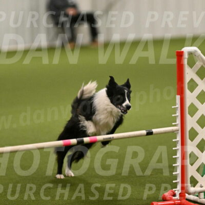 Skyler-Nanette-Jarrett-03834