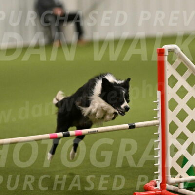 Skyler-Nanette-Jarrett-03835