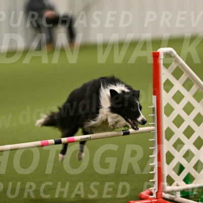 Skyler-Nanette-Jarrett-03836