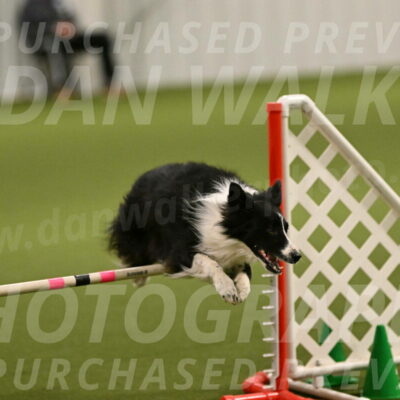 Skyler-Nanette-Jarrett-03837