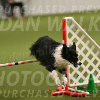 Skyler-Nanette-Jarrett-03838