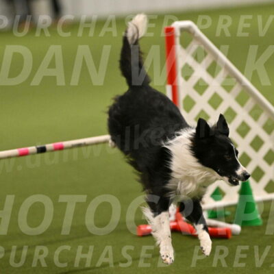 Skyler-Nanette-Jarrett-03839