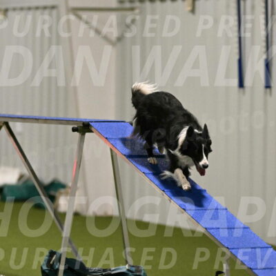 Skyler-Nanette-Jarrett-03840