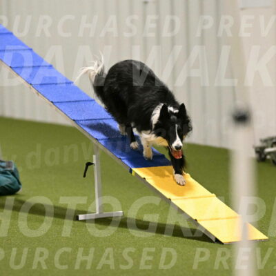 Skyler-Nanette-Jarrett-03841