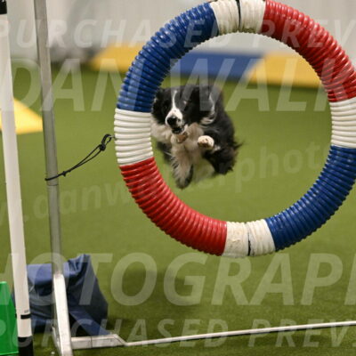 Skyler-Nanette-Jarrett-03842