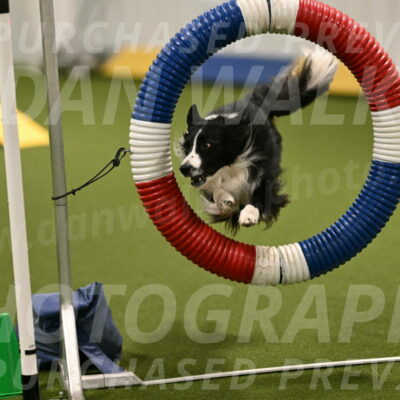 Skyler-Nanette-Jarrett-03843