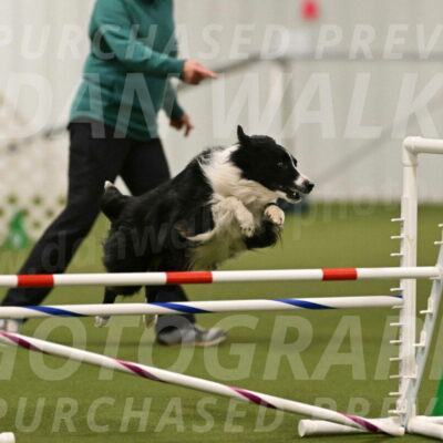 Skyler-Nanette-Jarrett-03845