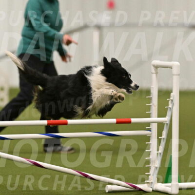 Skyler-Nanette-Jarrett-03846