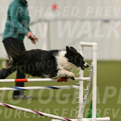 Skyler-Nanette-Jarrett-03847