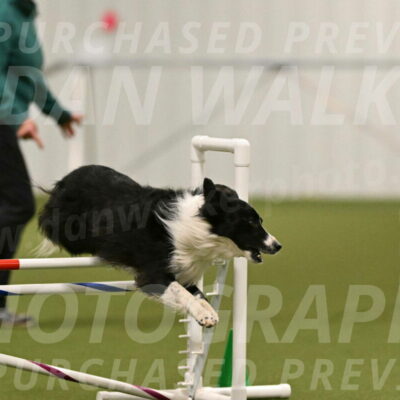 Skyler-Nanette-Jarrett-03848