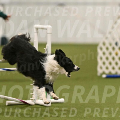 Skyler-Nanette-Jarrett-03849