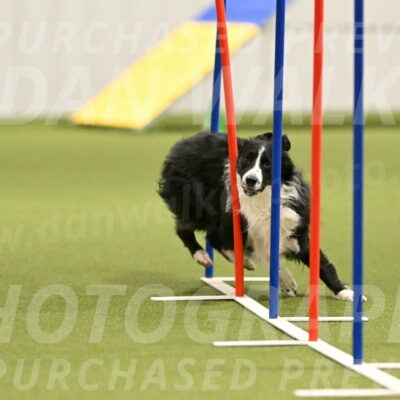 Skyler-Nanette-Jarrett-03850