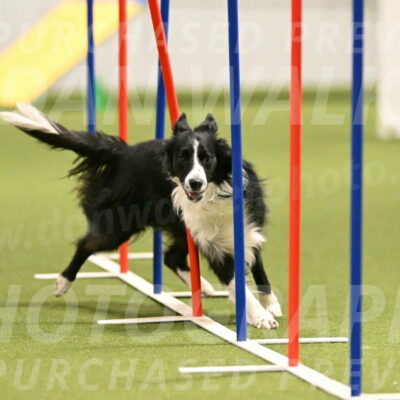 Skyler-Nanette-Jarrett-03851