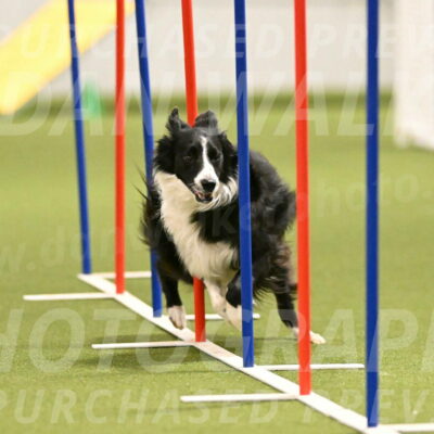 Skyler-Nanette-Jarrett-03852