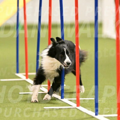 Skyler-Nanette-Jarrett-03853