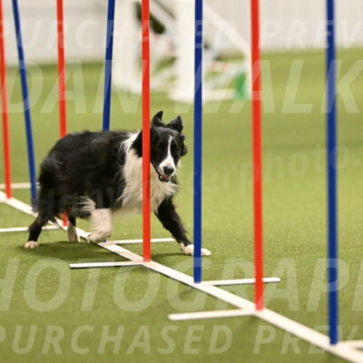 Skyler-Nanette-Jarrett-03854