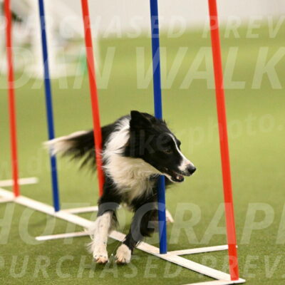 Skyler-Nanette-Jarrett-03855