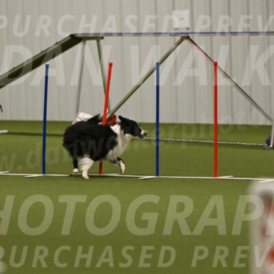 Skyler-Nanette-Jarrett-03857