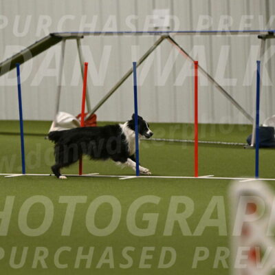 Skyler-Nanette-Jarrett-03858