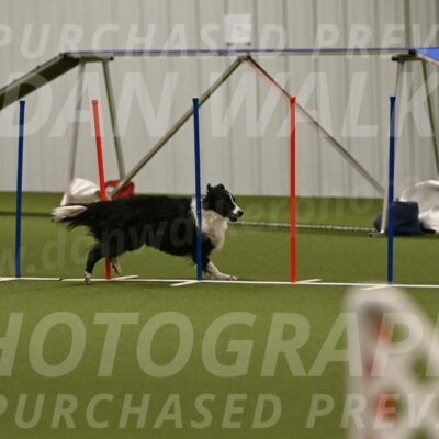 Skyler-Nanette-Jarrett-03859