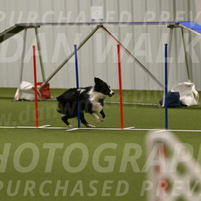 Skyler-Nanette-Jarrett-03860