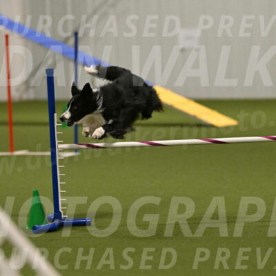 Skyler-Nanette-Jarrett-03861