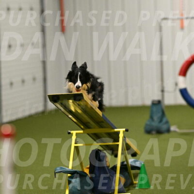 Skyler-Nanette-Jarrett-03862