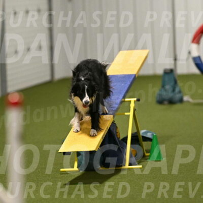 Skyler-Nanette-Jarrett-03864