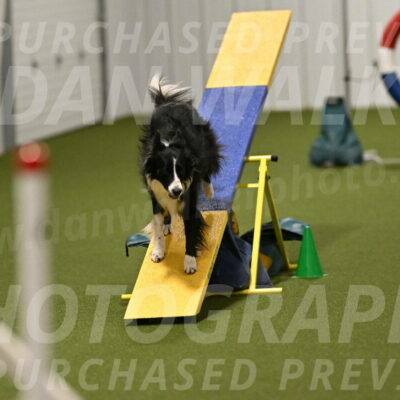 Skyler-Nanette-Jarrett-03865