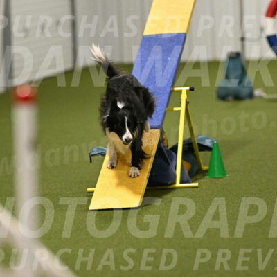 Skyler-Nanette-Jarrett-03866