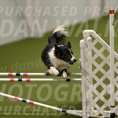 Skyler-Nanette-Jarrett-03868