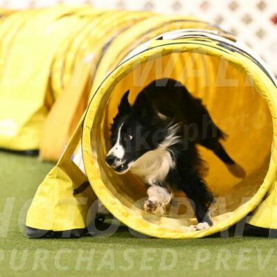 Skyler-Nanette-Jarrett-03869