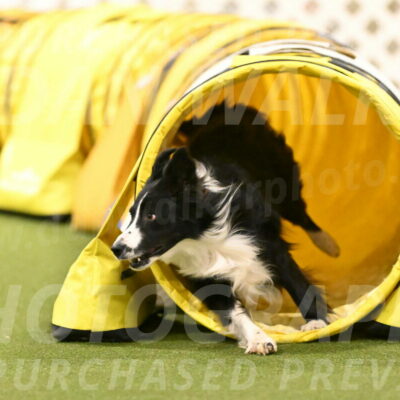 Skyler-Nanette-Jarrett-03870